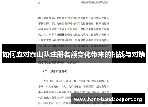 如何应对泰山队注册名额变化带来的挑战与对策