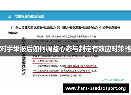对手举报后如何调整心态与制定有效应对策略
