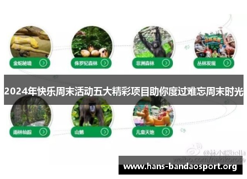 2024年快乐周末活动五大精彩项目助你度过难忘周末时光