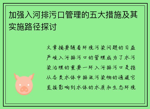 加强入河排污口管理的五大措施及其实施路径探讨