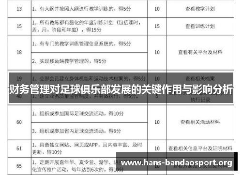 财务管理对足球俱乐部发展的关键作用与影响分析 财务管理对足球俱乐部发展的关键作用与影响分析