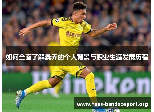 如何全面了解桑乔的个人背景与职业生涯发展历程